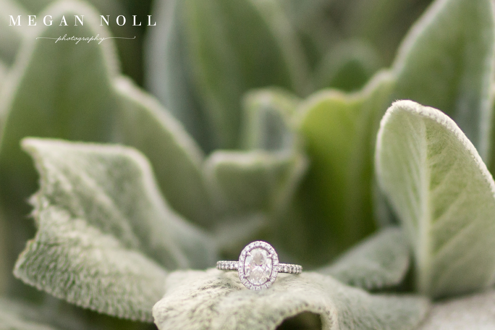 Newport Levee Engagement Pictures, Tessa Whitaker, Tim Magyar, Cincinnati Wedding Photographers