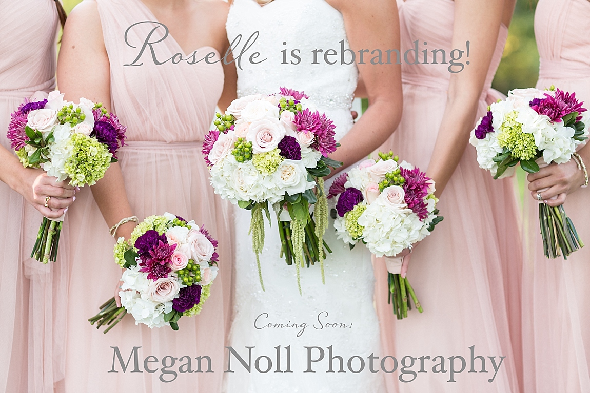 Roselle Photography, Rebranding, Megan Noll Photography, Cincinnati Wedding Photography, Cincinnati Wedding Photographers