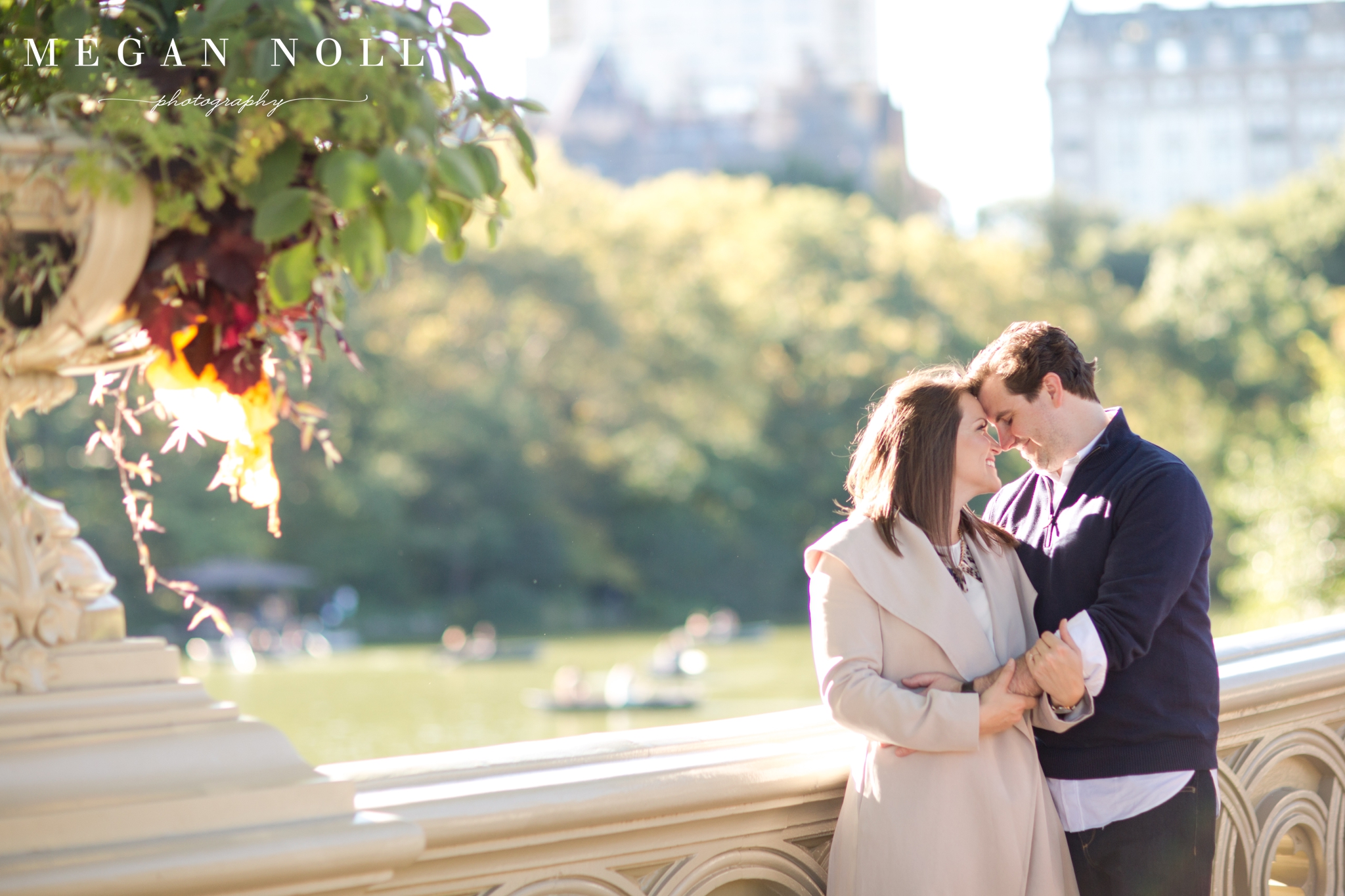Engagement Pictures, Central Park, New York City