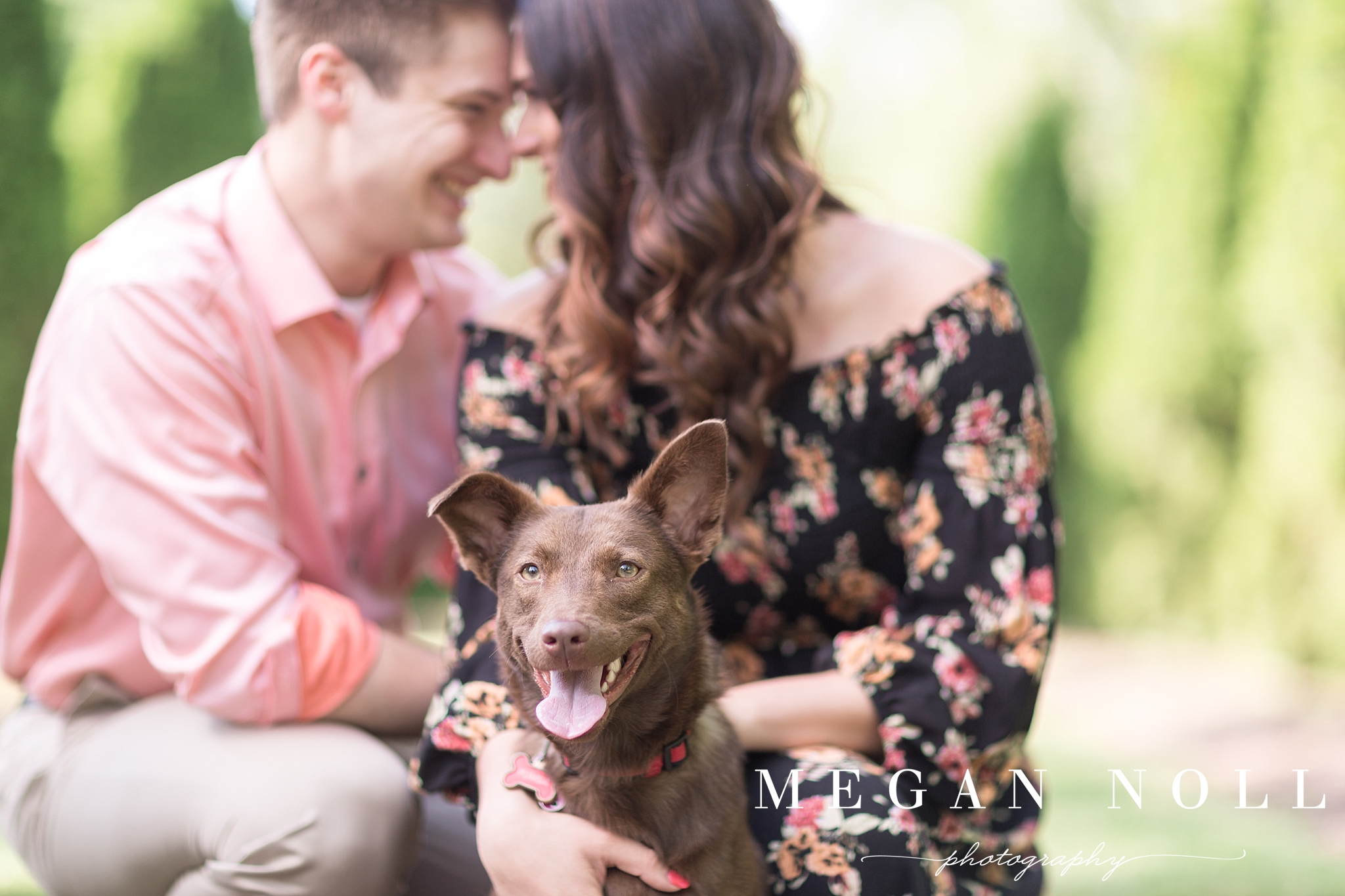 Incorporating Your Puppy Into Pictures, Dogs in Engagement Pictures