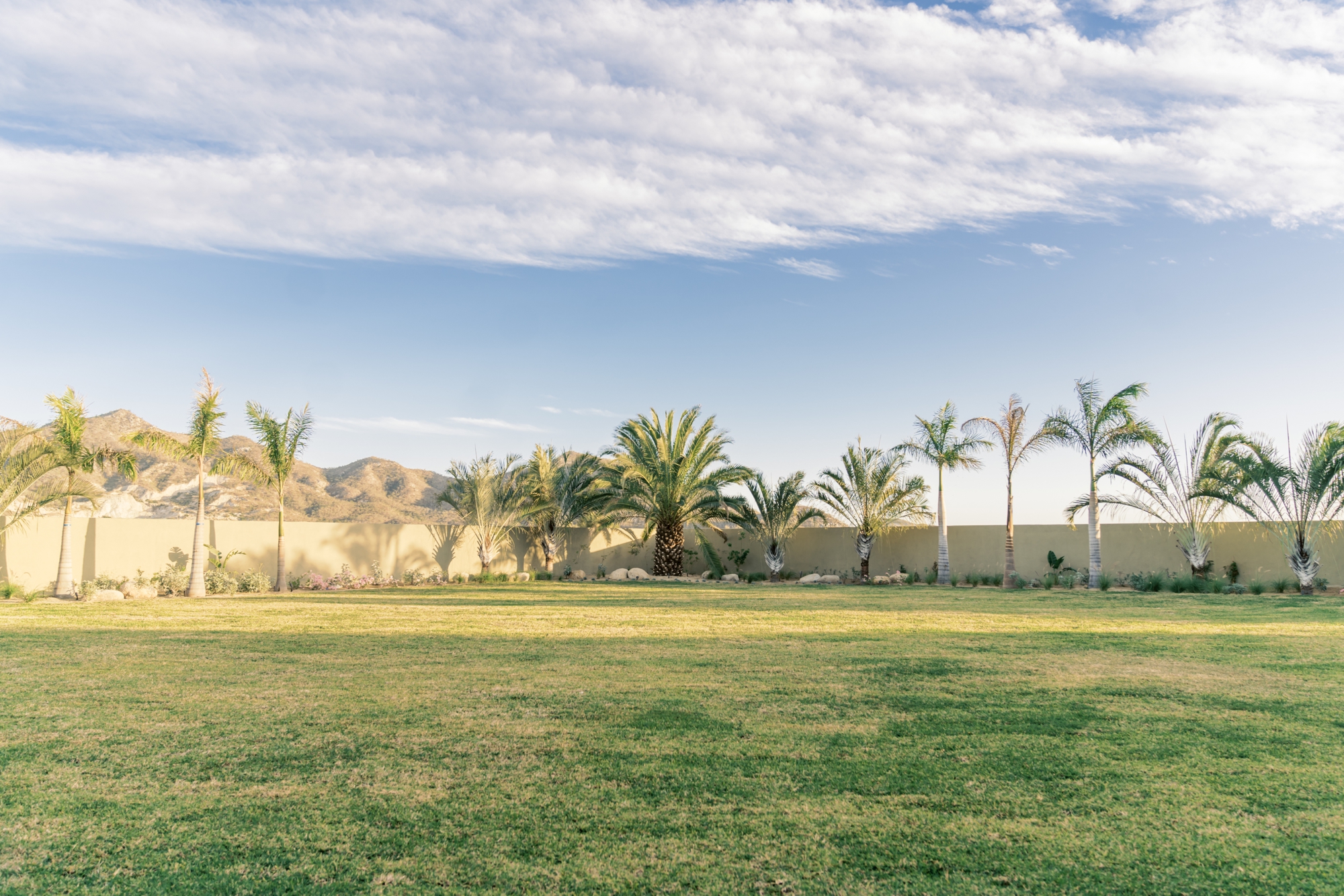 green space at Baja Luna perfect for Cabo wedding